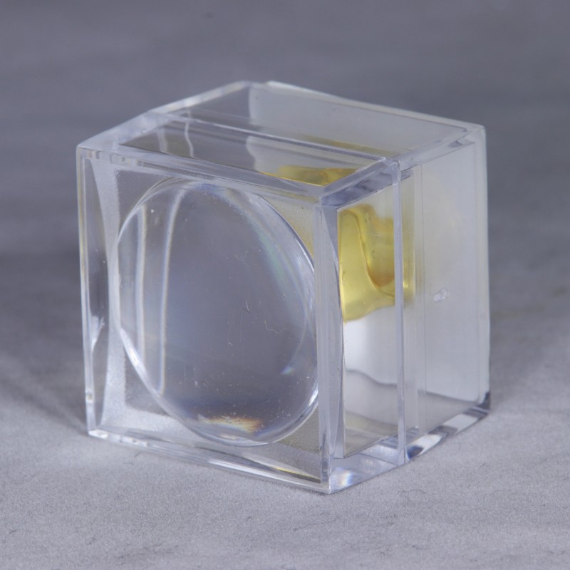 Ambre avec Insecte - Mer Baltique