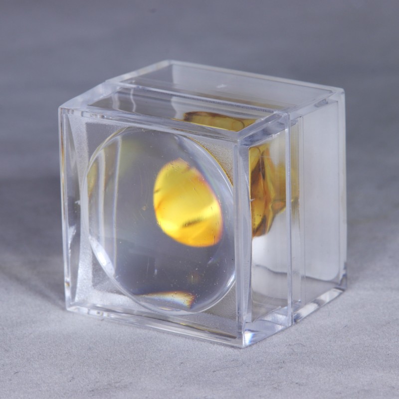 Ambre avec Insecte - Mer Baltique