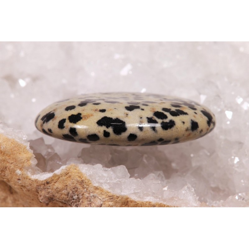 Galet Jaspe Dalmatien