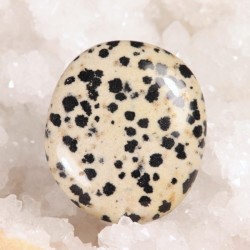 Galet Jaspe Dalmatien