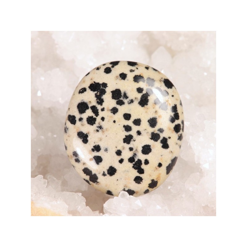 Galet Jaspe Dalmatien
