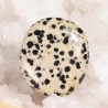Galet Jaspe Dalmatien