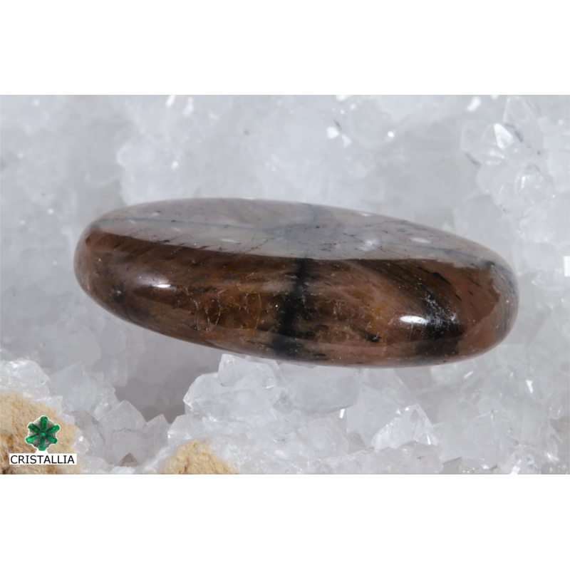 Galet Chiastolite
