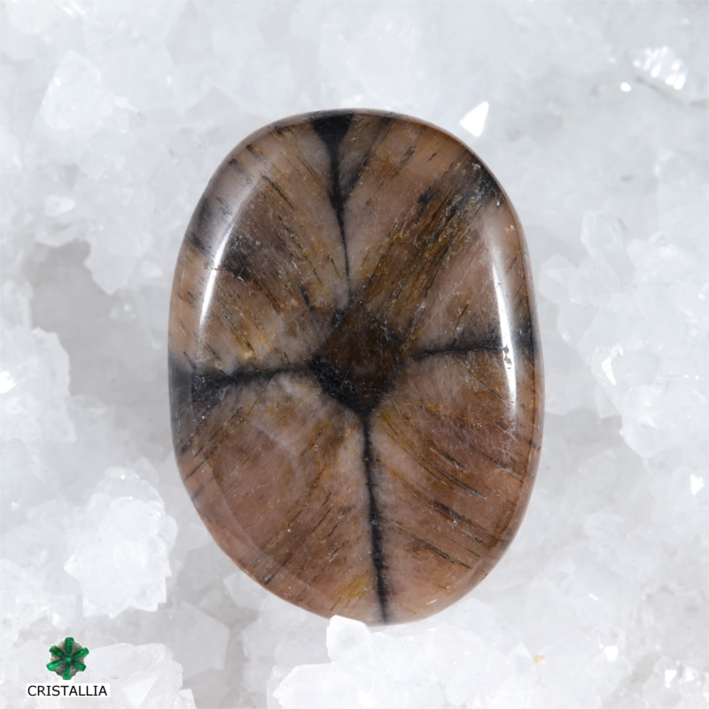Galet Chiastolite 4 cm