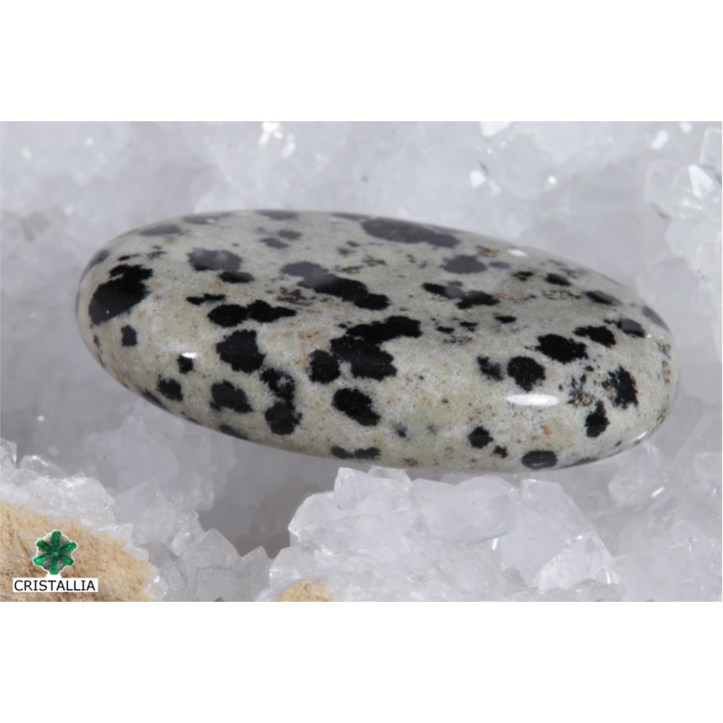 Galet Jaspe Dalmatien 4 cm