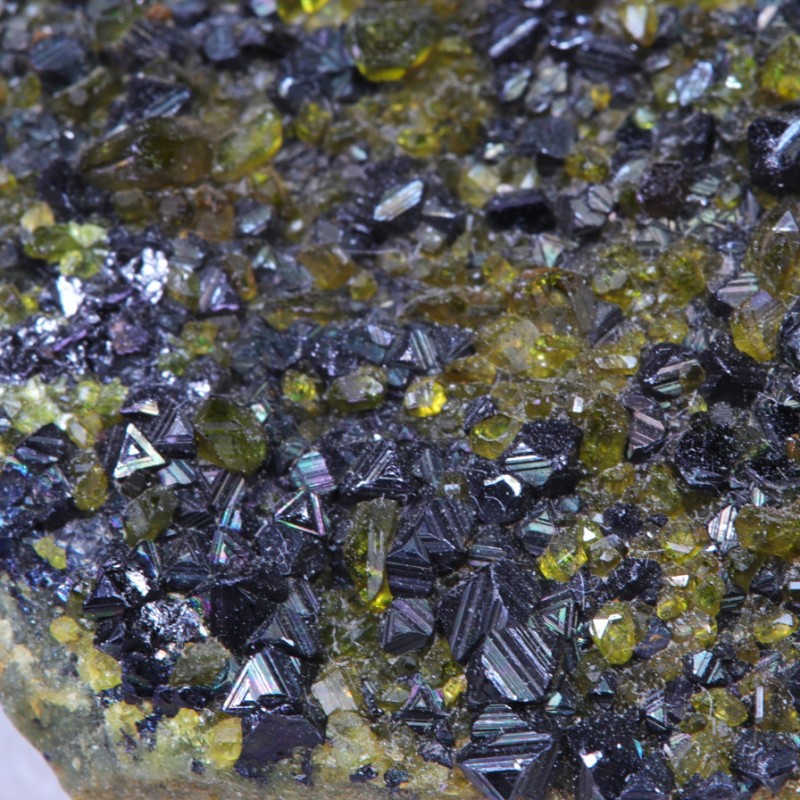 Magnétite sur Epidote - Pakistan