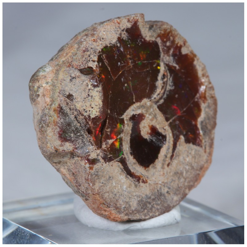 Opale chocolat - Mezzozo, Ethiopie (10,7 gr)