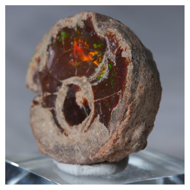 Opale chocolat - Mezzozo, Ethiopie (10,7 gr)