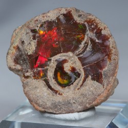 Opale chocolat - Mezzozo, Ethiopie (10,7 gr)