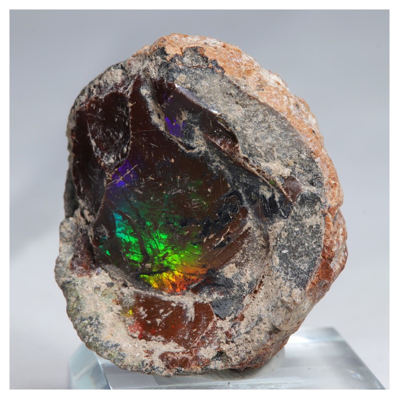 Opale chocolat - Mezzozo, Ethiopie (16,3 gr)