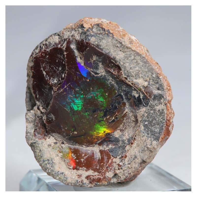 Opale chocolat - Mezzozo, Ethiopie (16,3 gr)