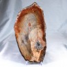 Pierre à poser - Bois Fossile