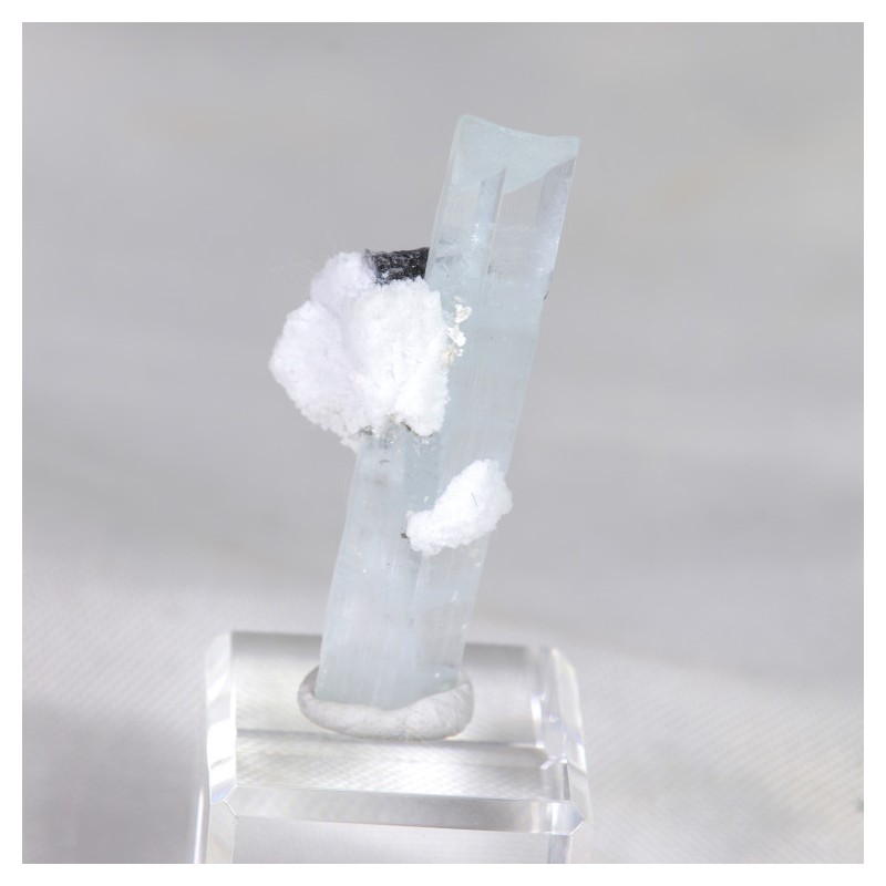 Aigue Marine, Tourmaline et Albite - Pakistan