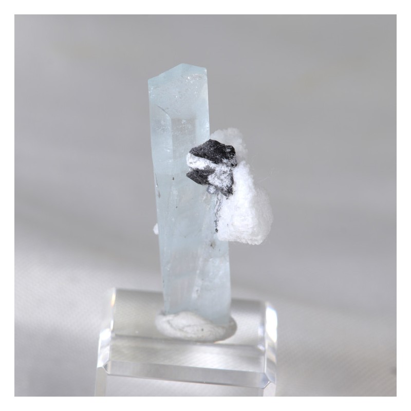 Aigue Marine, Tourmaline et Albite - Pakistan