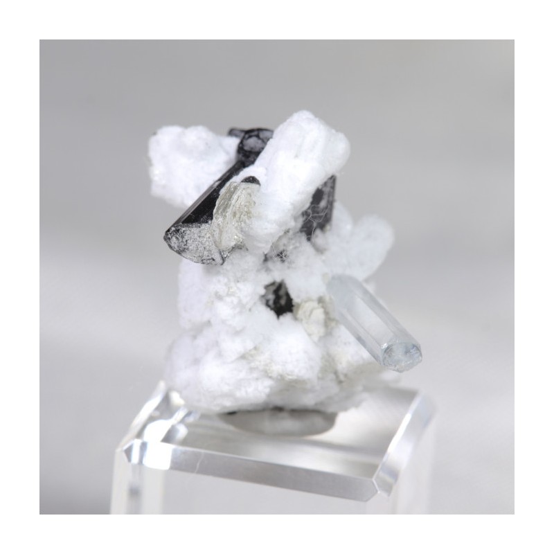 Aigue Marine et Tourmaline sur Albite - Pakistan