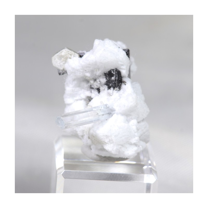 Aigue Marine et Tourmaline sur Albite - Pakistan