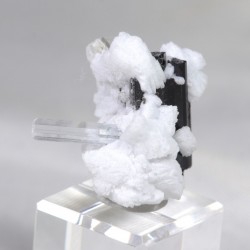 Aigue Marine et Tourmaline sur Albite - Pakistan