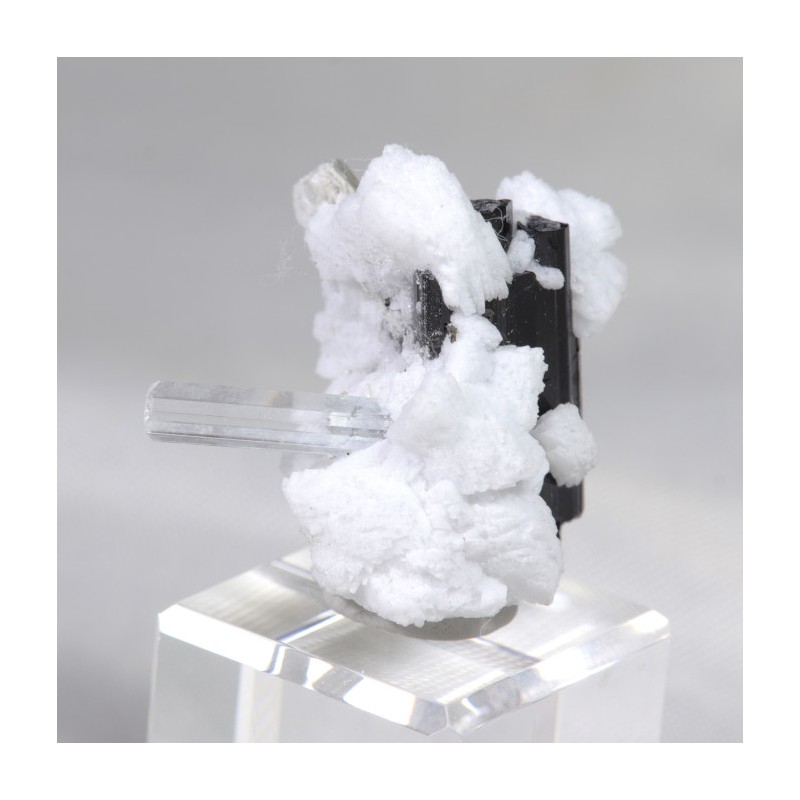 Aigue Marine et Tourmaline sur Albite - Pakistan