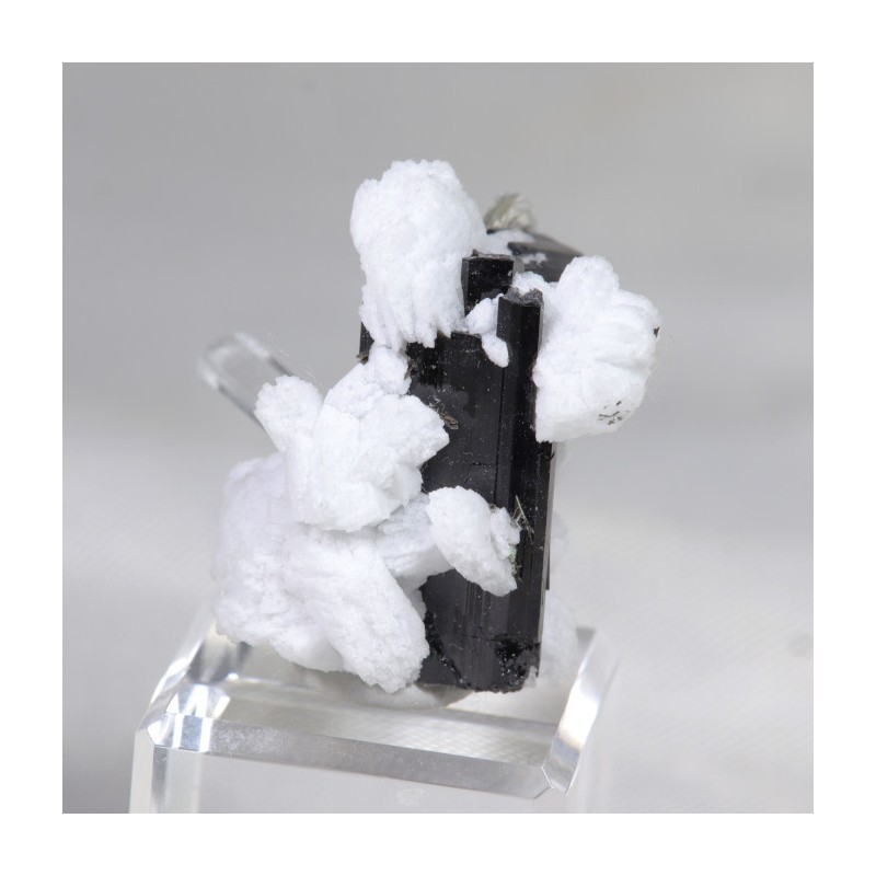 Aigue Marine et Tourmaline sur Albite - Pakistan