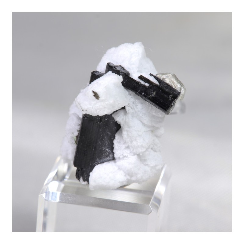 Aigue Marine et Tourmaline sur Albite - Pakistan