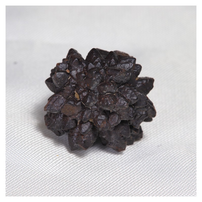 Prophecy Stone - Egypte