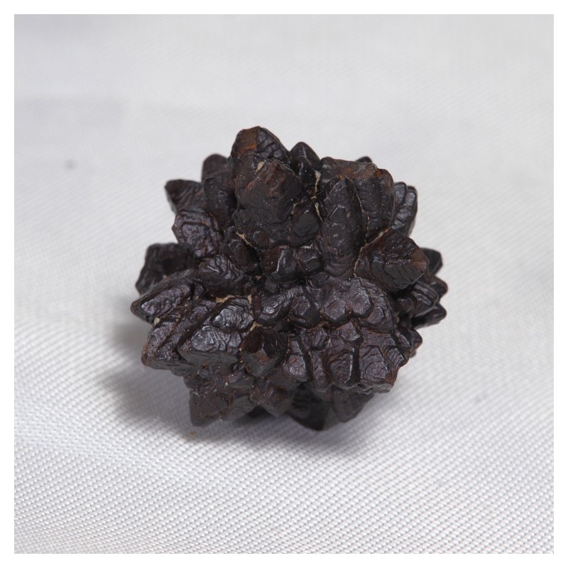 Prophecy Stone - Egypte