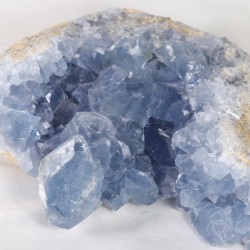 Célestine - Madagascar