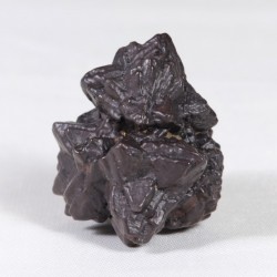 Prophecy Stone - Egypte