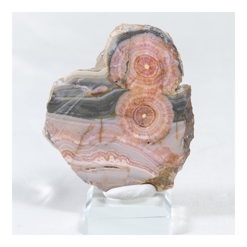 Rhodochrosite tranche - Argentine