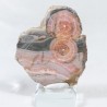 Rhodochrosite tranche - Argentine