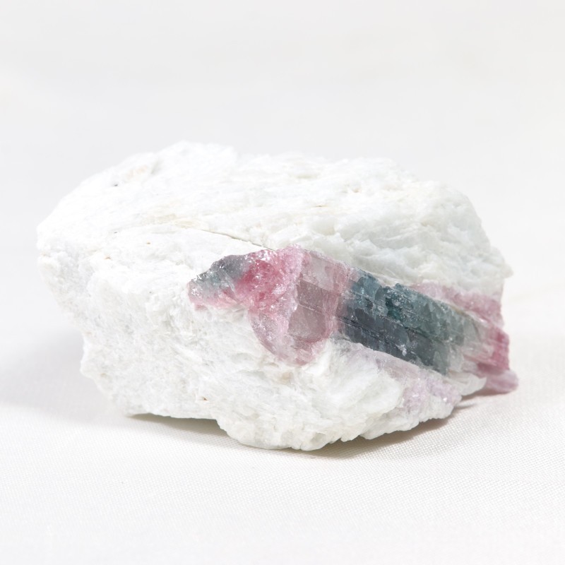 Tourmaline Bicolore - Brésil