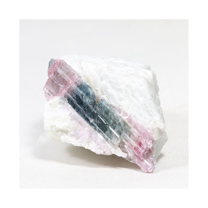 Tourmaline Bicolore - Brésil