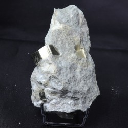 Pyrite sur matrice
