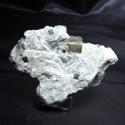 Pyrite sur matrice