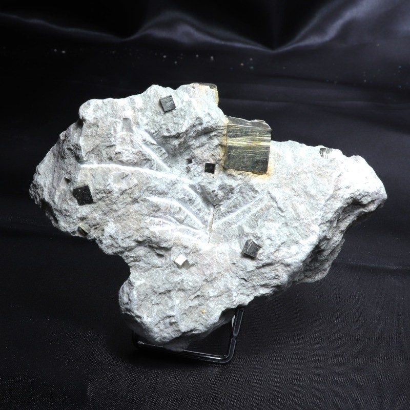 Pyrite sur matrice