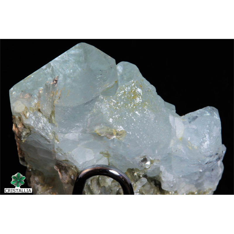 Aigue marine sur Muscovite