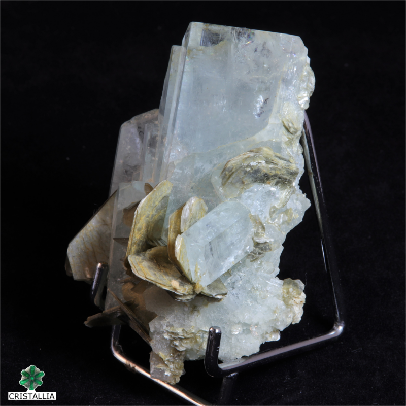 Pierre de collection