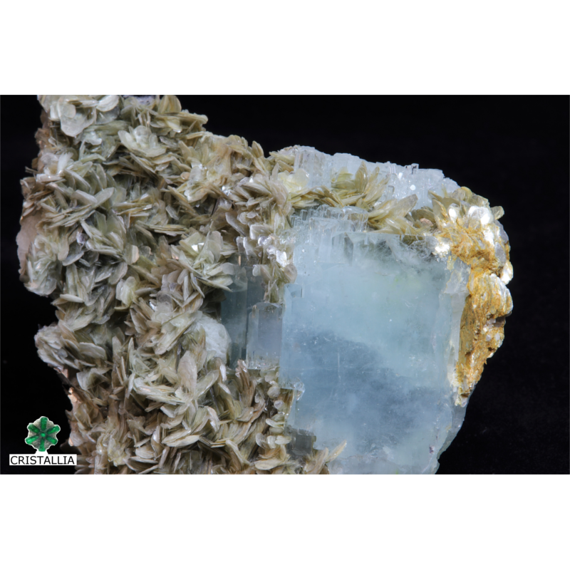 Aigue marine collection