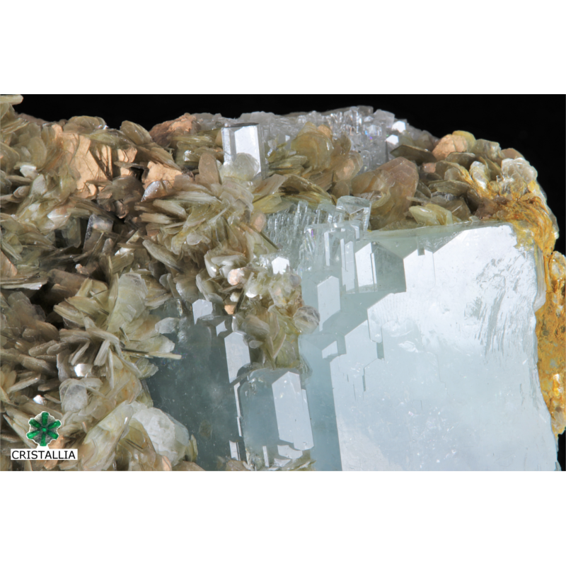 Pierre de collection