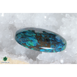 Cabochon chrysocolle