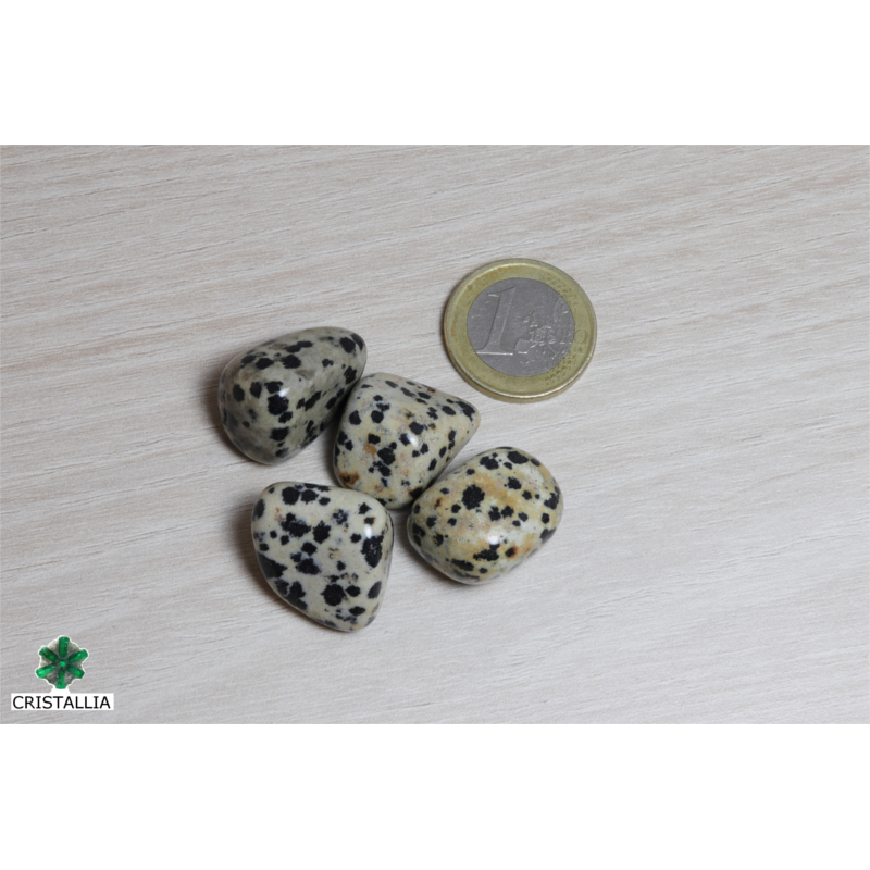 Pierre roulée Jaspe dalmatien
