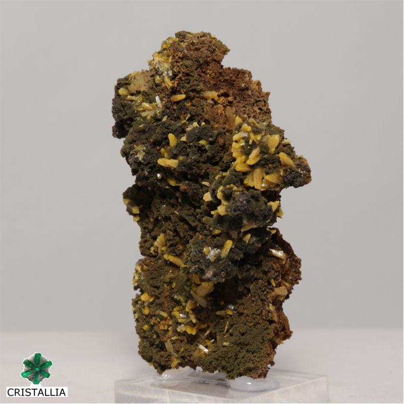Wulfenite et Mimétite