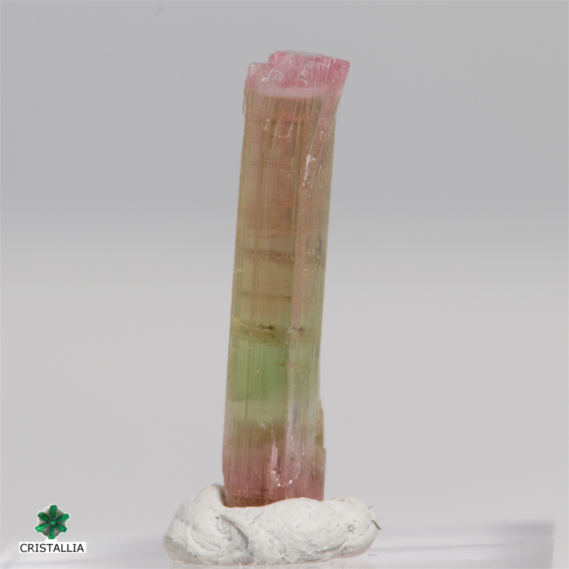 Tourmaline Tricolore