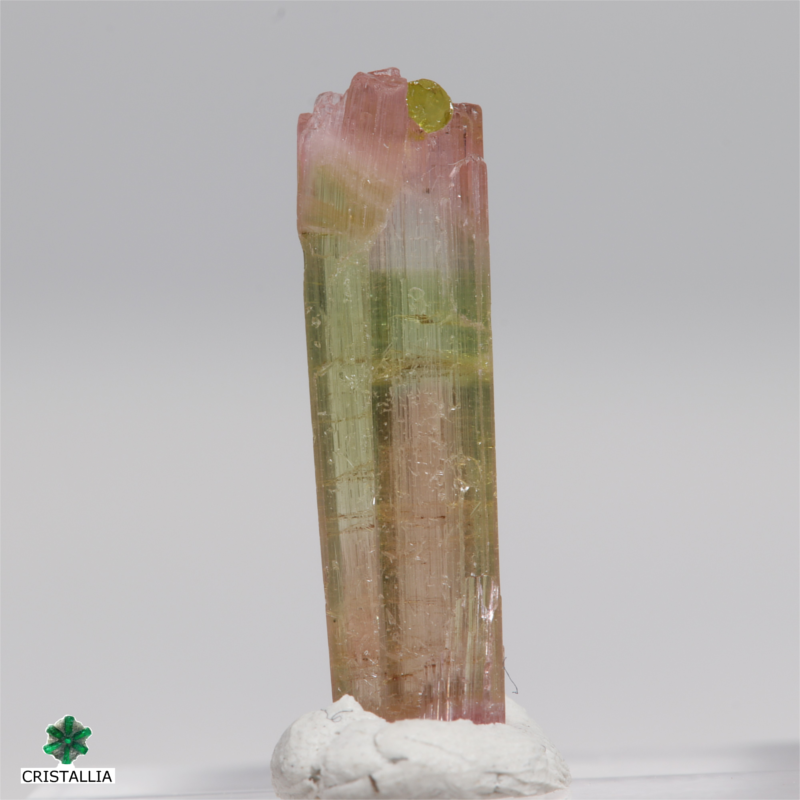 Tourmaline Tricolore