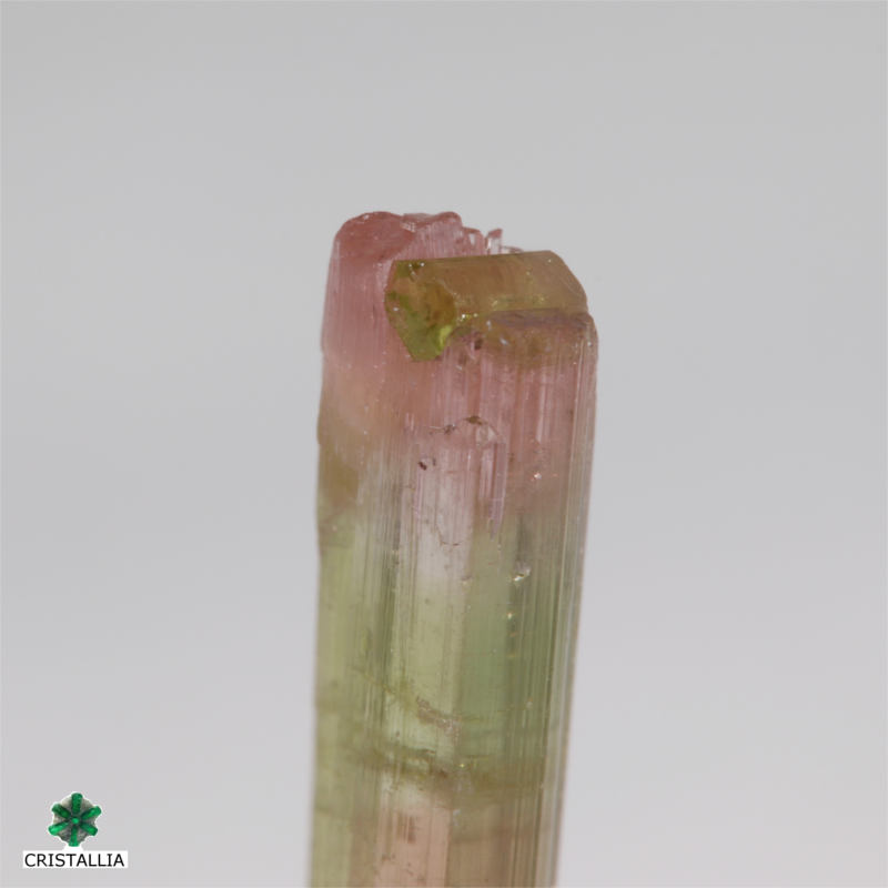 Tourmaline Tricolore