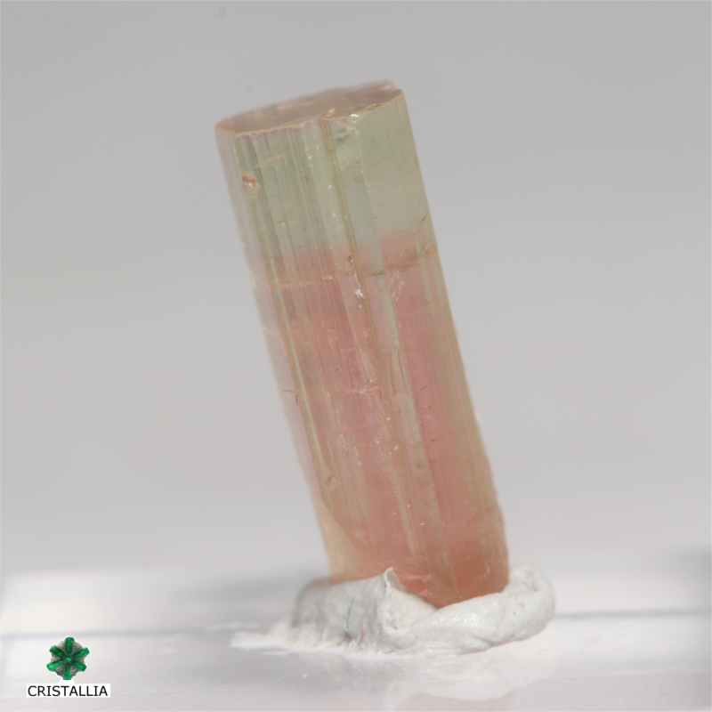 Tourmaline Tricolore