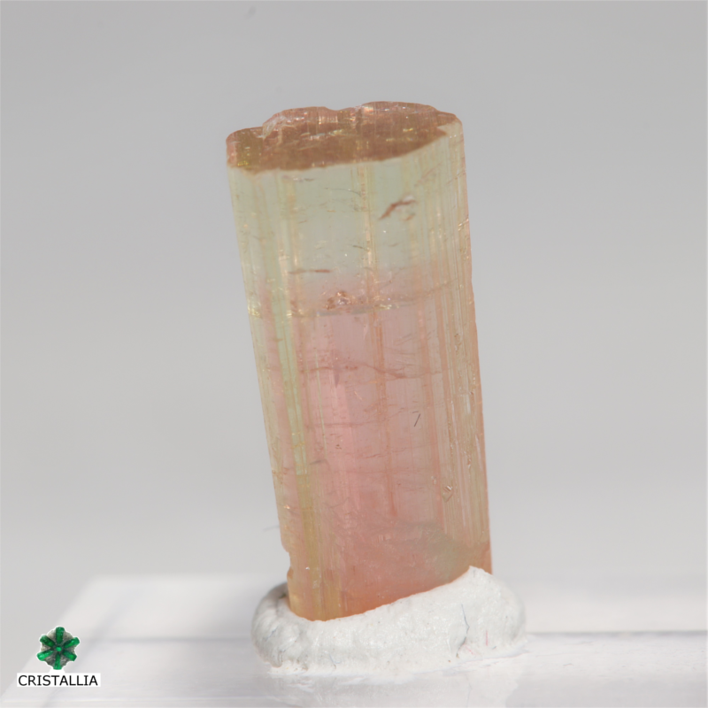 Tourmaline Tricolore