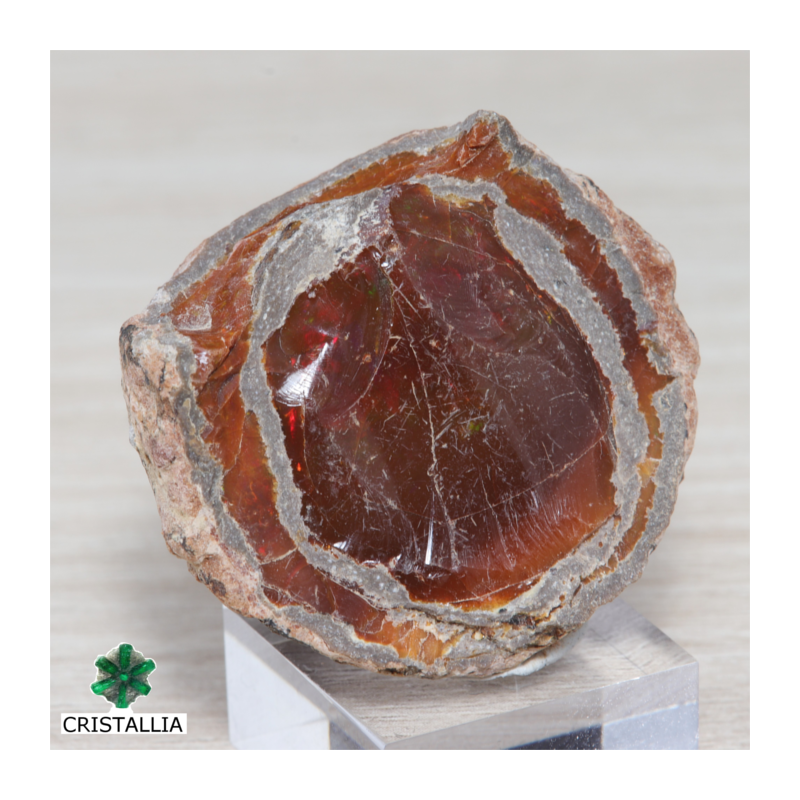 Opale chocolat - Mezzozo