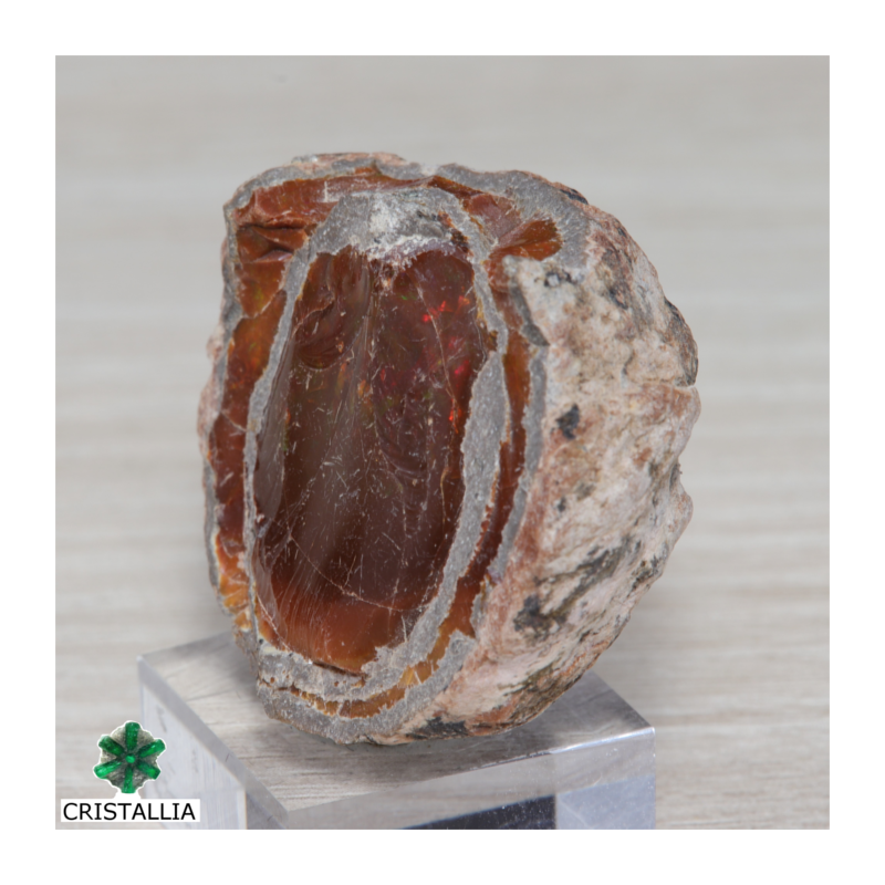 Opale chocolat - Mezzozo