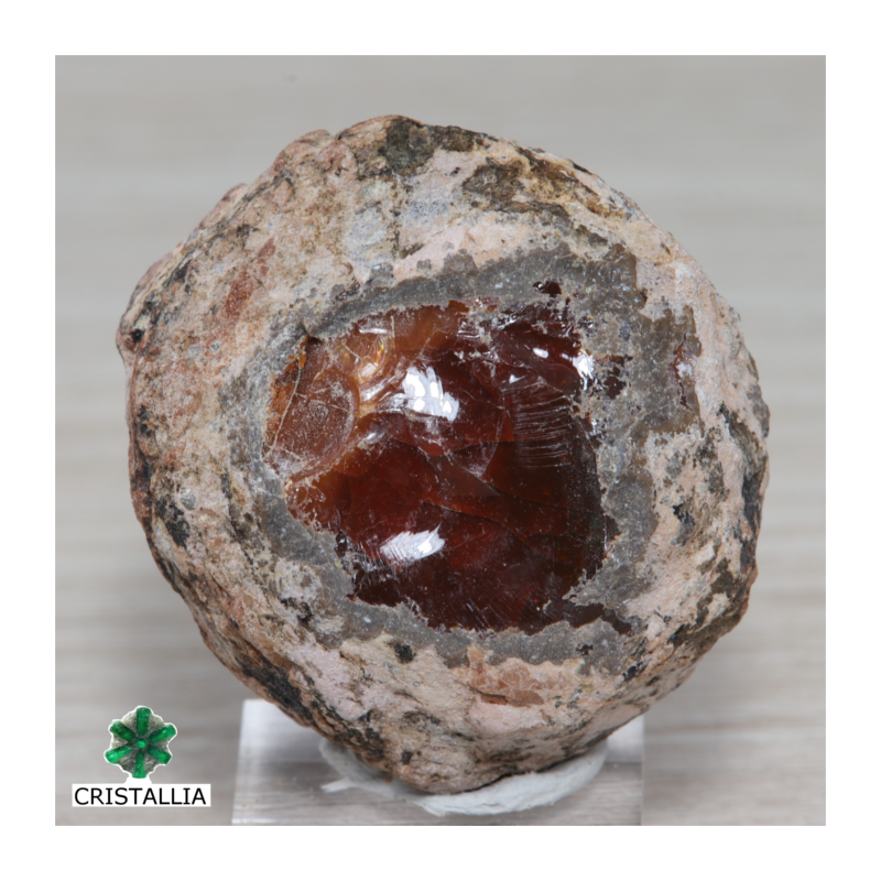 Opale chocolat - Mezzozo